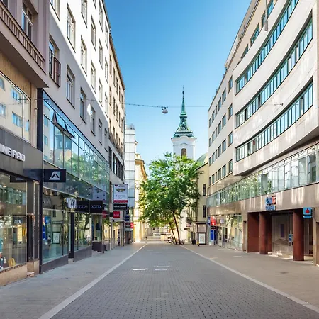 Janska Historic Center Apartment *